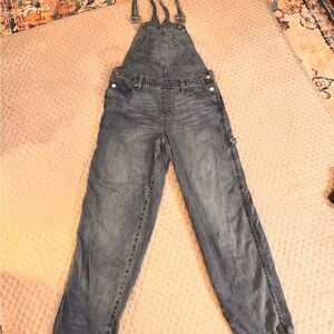 Wild Fable Blue Denim overalls